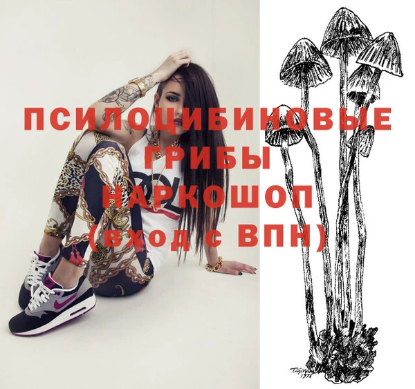 mix Абаза
