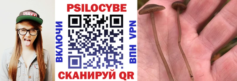 Псилоцибиновые грибы GOLDEN TEACHER  где найти наркотики  OMG как зайти  Бежецк 