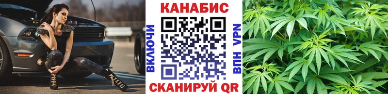 Шишки марихуана индика Бежецк